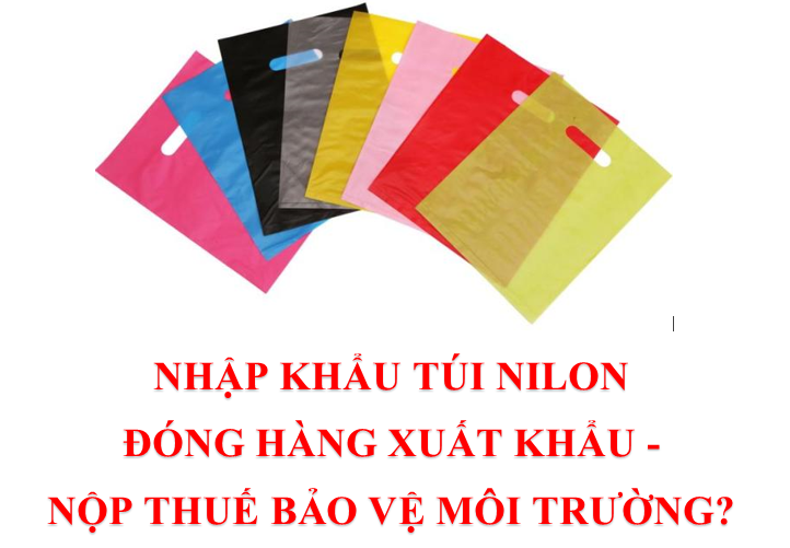 Nhập Túi Nilon Đóng Hàng Xuất Khẩu – Trường Hợp Nào Phải Nộp Thuế Bảo Vệ Môi Trường ?